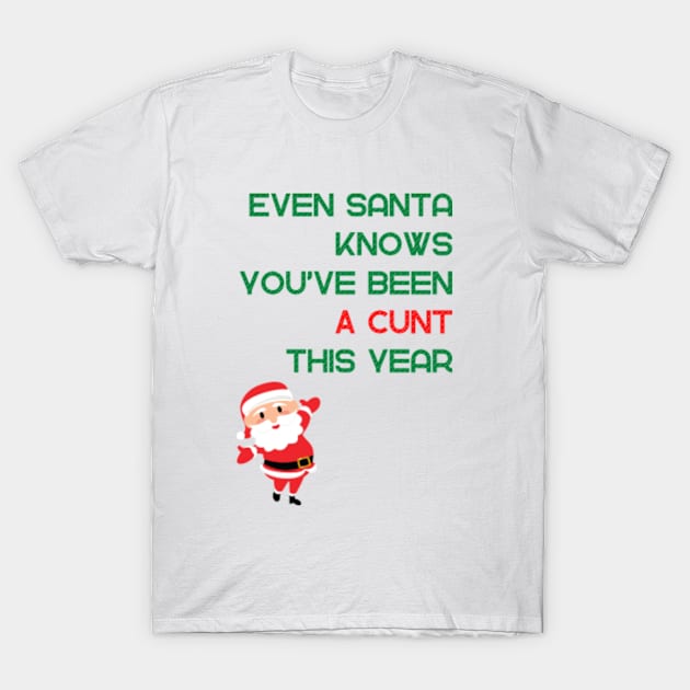 Even Santa Knows You’ve Been A Cunt This Year T-Shirt by ArtJoy